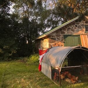 Meet your Posher, Deborah